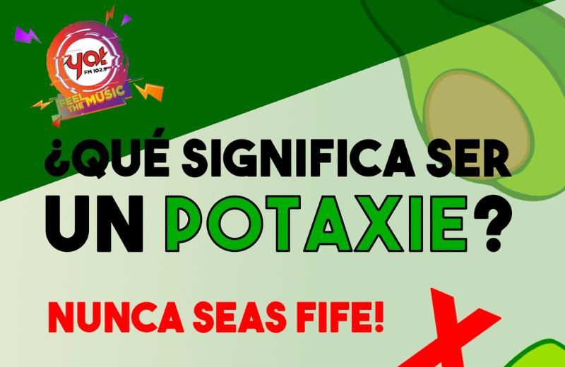 ¿Qué significa ser un potaxie? Acá te contamos