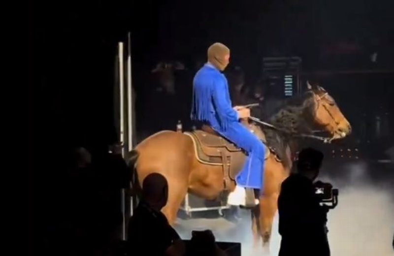 PETA acusa a Bad Bunny de maltrato animal (+video)