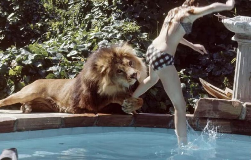 ¡Retro Weekend! La historia detrás del Film 'Roar' de Noel Marshall (+video)