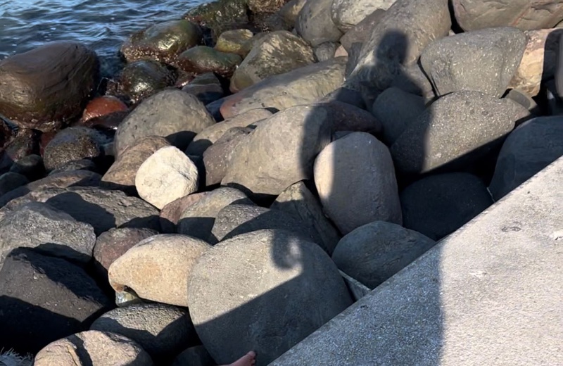 Encuentran pie esta mañana en playas de Veracruz (+video)