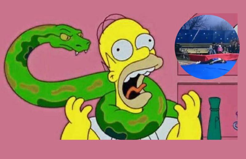Tragedia en Circo Ruso: Lo estrangula Serpiente y Muer3 (+Video)