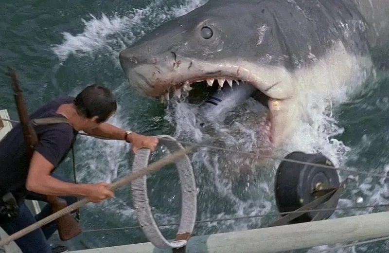 Película 'Tiburón' cumple 50 años ¿La has visto? 