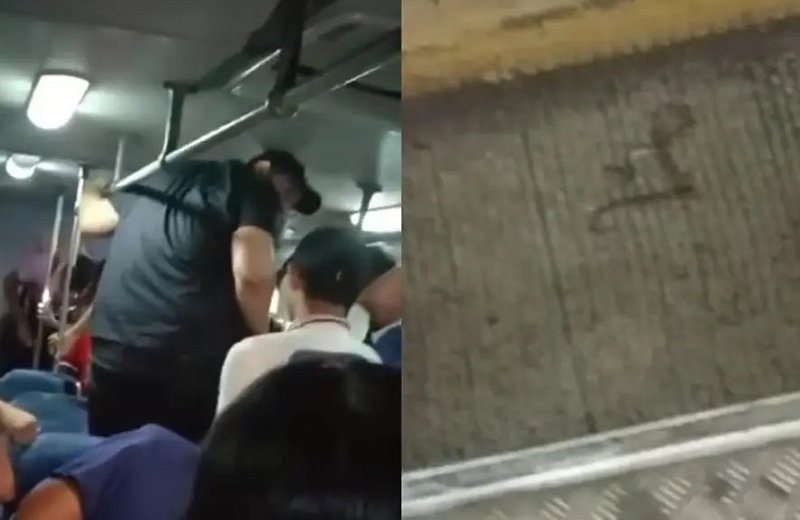 ¡Y no pagó boleto! Se sube una víbora a camión urbano de Veracruz (+video)