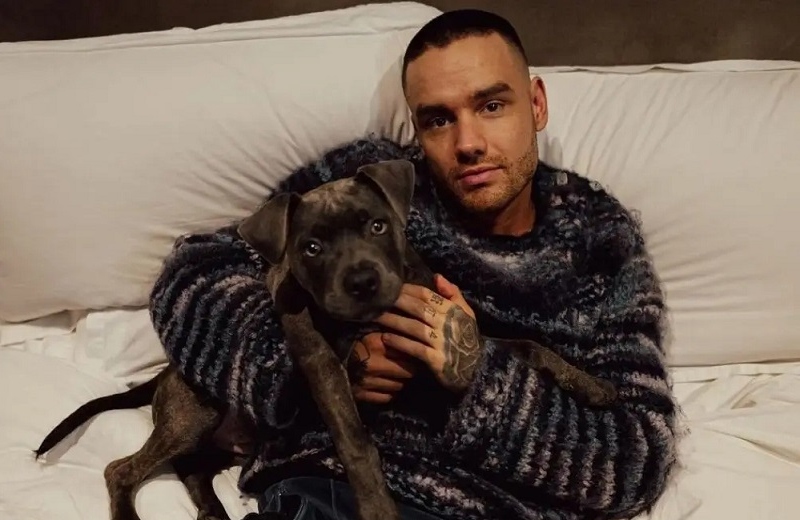 Exintegrantes de One Direction ¡devastados por la muerte de Liam Payne!