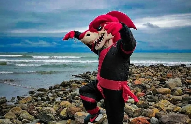 Sin los Tiburones ¿Qué pasará con el TibuJarocho la mascota?