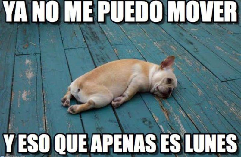 Los Mejores MEMES de Lunes (Fotos)