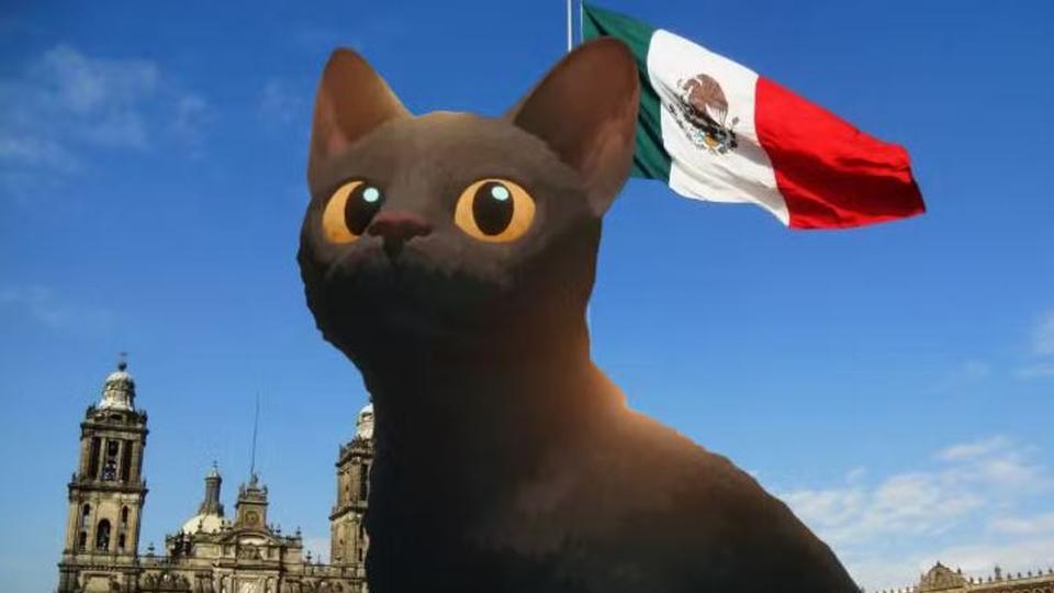 Proyectarán gratis la película 'Flow' en el Zócalo 