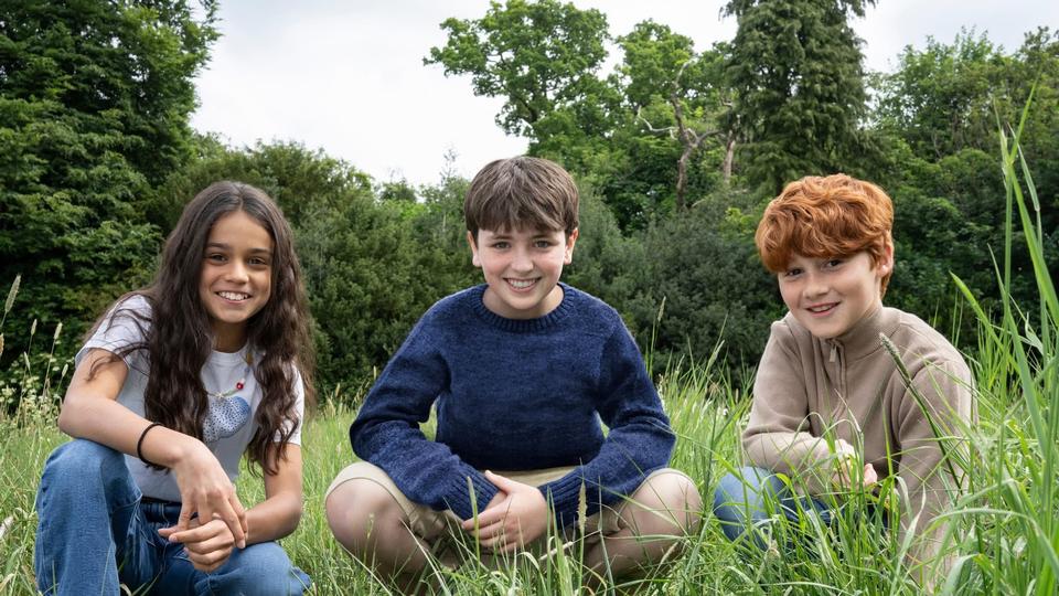 Esté es el nuevo elenco que dará vida a Harry Potter ¡Es oficial!
