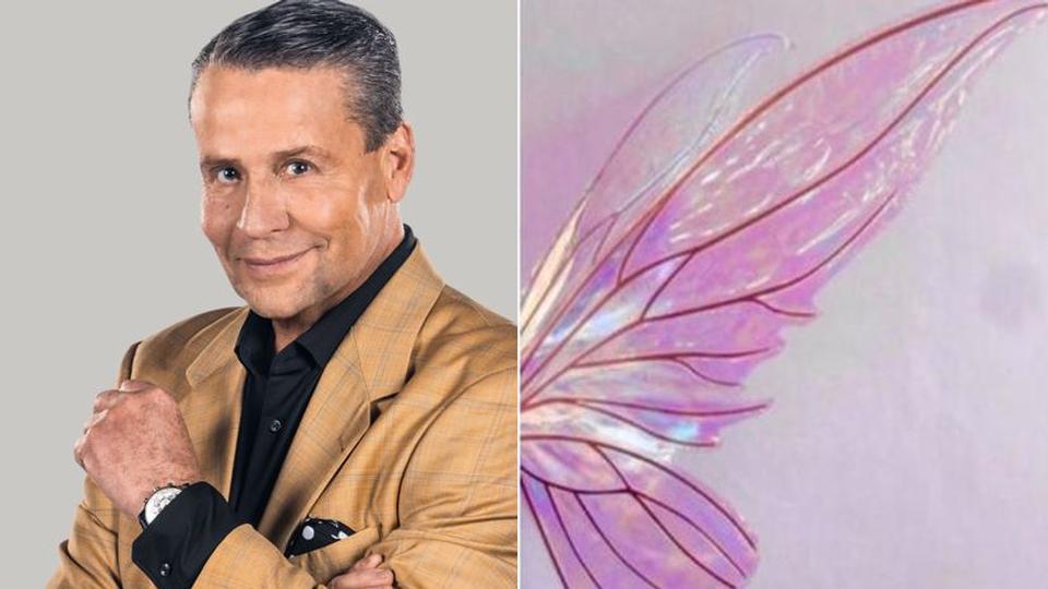 ¿Qué hada eres según tu signo?