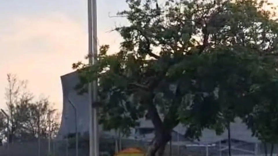 Fans de Shakira acampan afuera del estadio "Pirata" Fuente