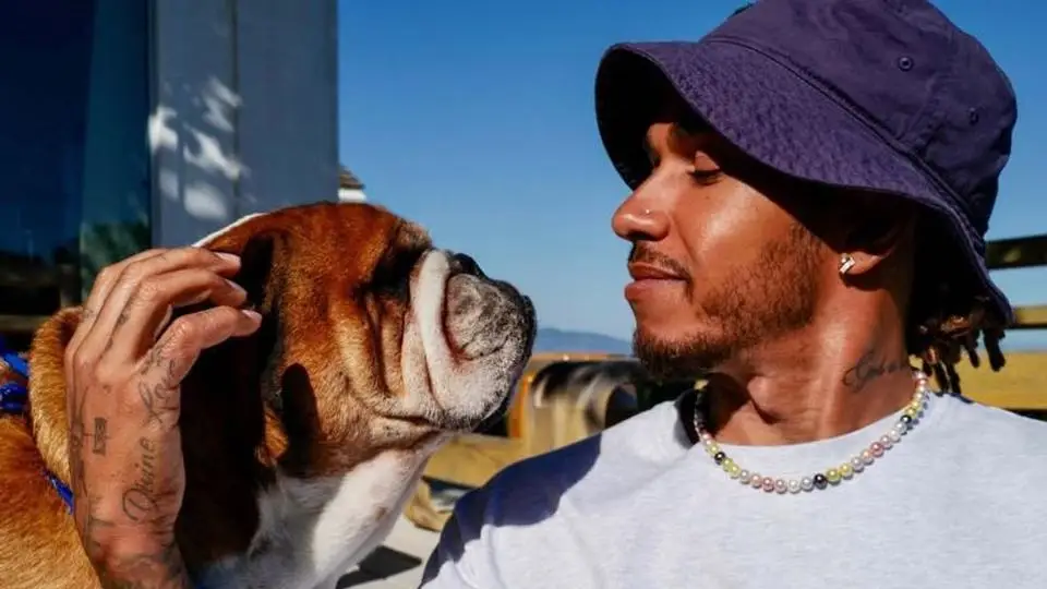 La prueba más díficil: Lewis Hamilton se aleja de la F1 por la salud de su amigo Roscoe
