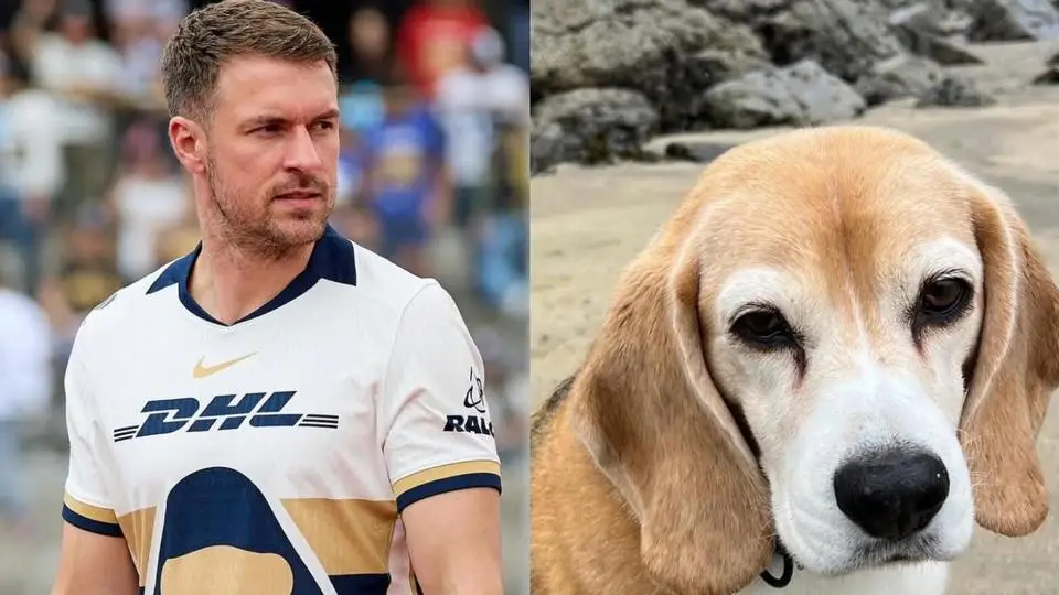 Aaron Ramsey futbolista de los Pumas anuncia recompensa para encontrar a su perrito