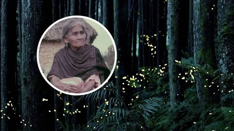 Nueva especie de luciérnaga descubierta ¡Brilla; María Sabina!
