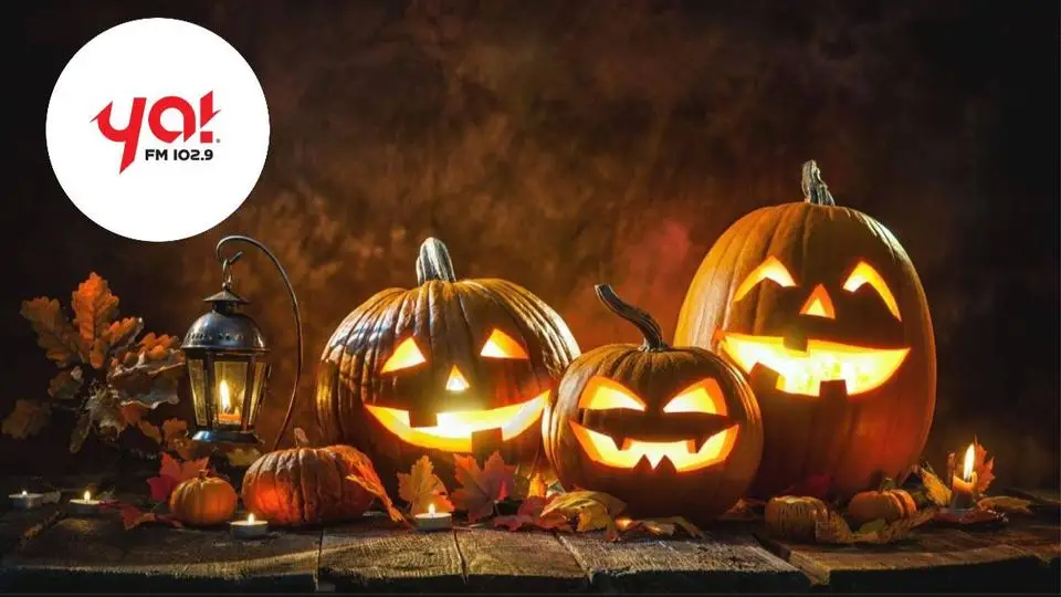 5 curiosidades de Halloween que te van a sorprender 5 curiosidades de Halloween que te van a sorprender