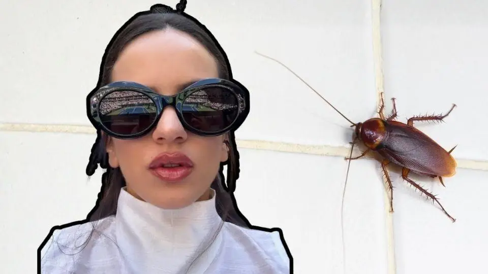 ¡No lo podrás creer! Rosalía huye de entrevista (+VIDEO)