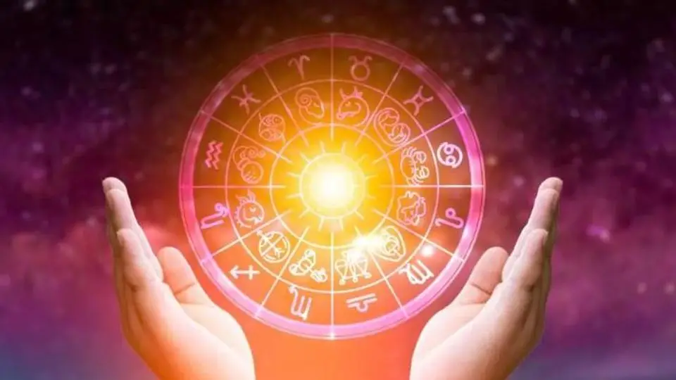 ¿Que Animal incomprendido eres según tu signo? (+FOTOS)