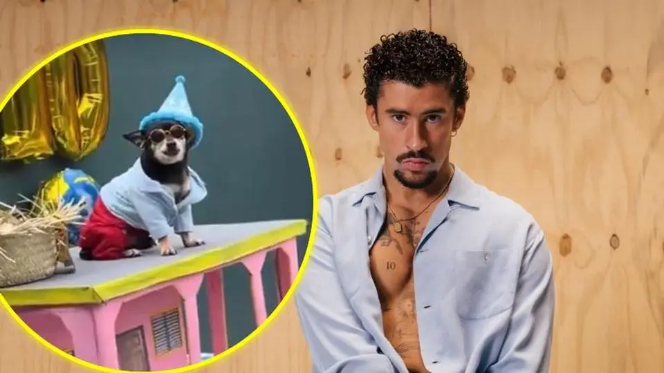 ¡Acho, PR! Lomito mexicano celebra cumpleaños al estilo Bad Bunny y se vuelve viral