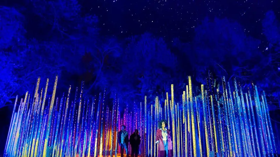 Experiencia inmersiva Light Cycles llega al Bosque de Chapultepec