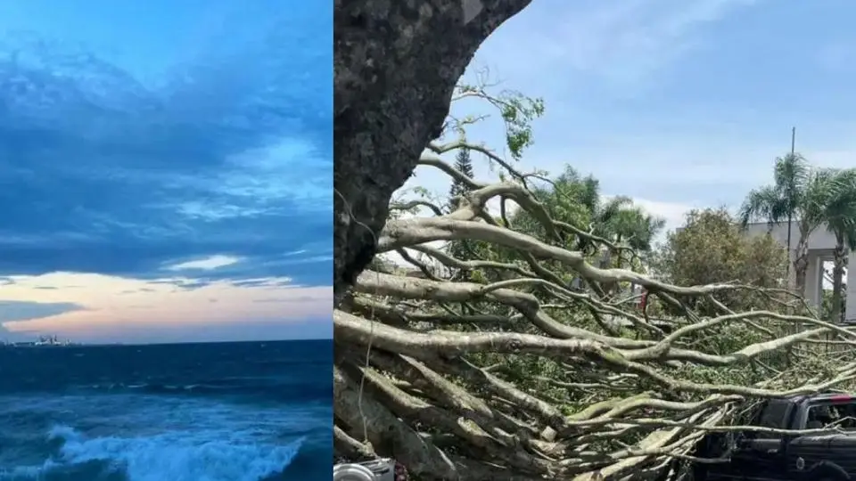 ¡Veracruz bajo modo 'norte'! Vientos siguen pegando y estas son las reglas para no salir volando