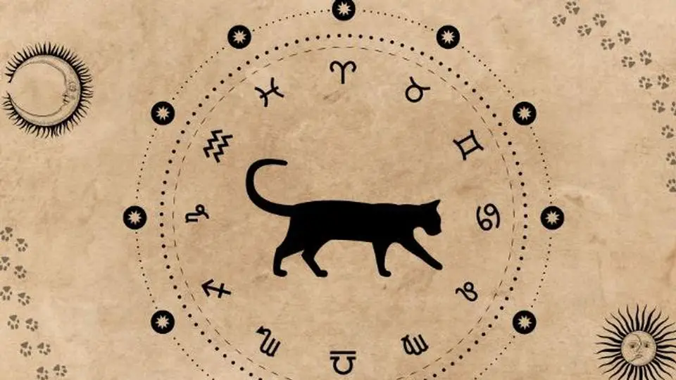 ¿Que Gato Animado Eres Según Tu Signo Zodiacal? (+FOTOS)